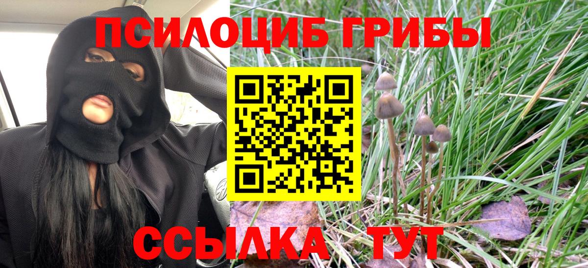 сколько стоит  Вход с VPN  Алексеевка  Псилоцибиновые грибы ЛСД 
